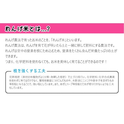 【令和7年度産】こだわり農法の「れんげ米」精米(10kg)