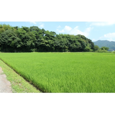 【令和7年度産】こだわり農法の「れんげ米」精米(10kg)