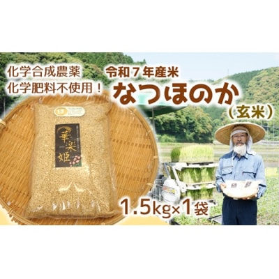 令和7年産米　なつほのか(玄米)1.5kg!栽培期間中、化学肥料等を使わずに育てたから安心安全!
