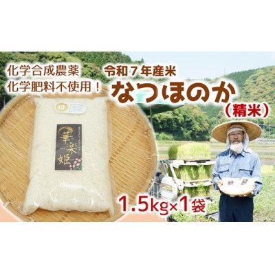 令和7年産米　なつほのか(精米)1.5kg!栽培期間中、化学肥料等を使わずに育てたから安心安全!