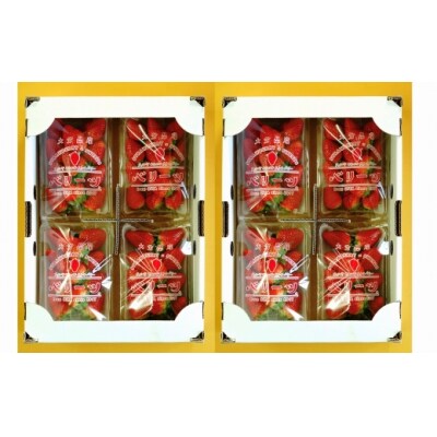 【12/15～1/19発送】大分県ブランドいちご「ベリーツ」(200g×8パック)