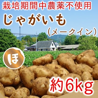 栽培期間中化学肥料・農薬不使用　稲垣農園の新じゃがいも(メークイン)約6kg
