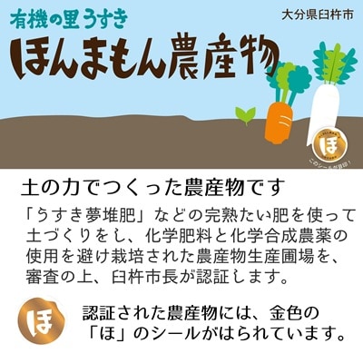 栽培期間中化学肥料・農薬不使用　稲垣農園の新じゃがいも(メークイン)約6kg