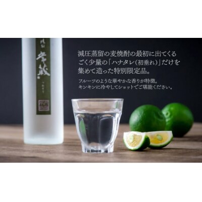 創業150周年記念酒★麦焼酎常蔵「ハナタレ」(300ml)