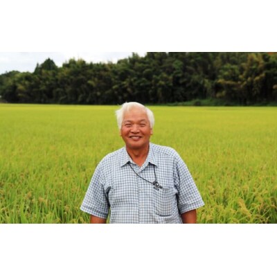 安心安全のれんげ米の米粉(500g×6個)
