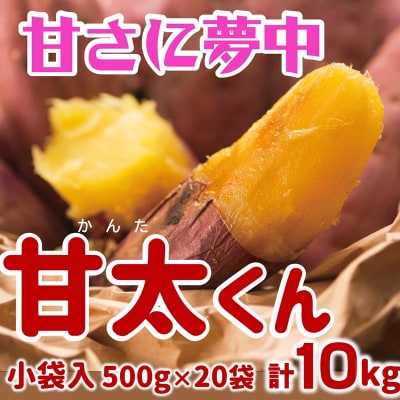 【先行予約】めっちゃ甘い!高糖度かんしょ「甘太くん」 (500g×20袋)計10kg