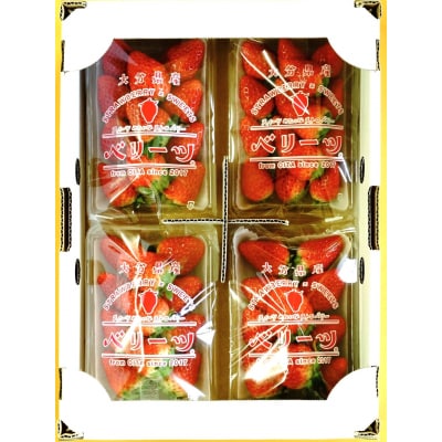 【1/20以降発送】大分県ブランドいちご「ベリーツ」(200g×4パック)