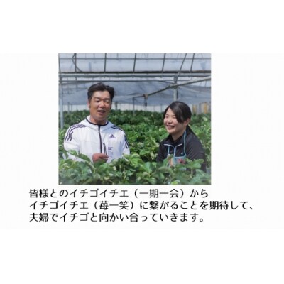 【1/20以降発送】大分県ブランドいちご　ベリーツ(200g×8パック)