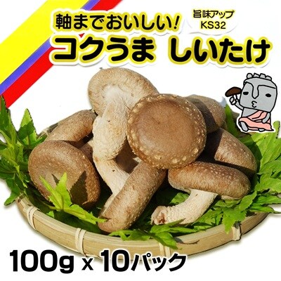 生椎茸　軸までおいしい!コクうましいたけ(100g×10パック)