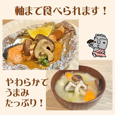 生椎茸　軸までおいしい!コクうましいたけ(100g×10パック)
