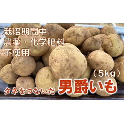 皮ごと食べても安心　タネをつないだ男爵イモ(5kg)【栽培期間中農薬・化学肥料不使用】