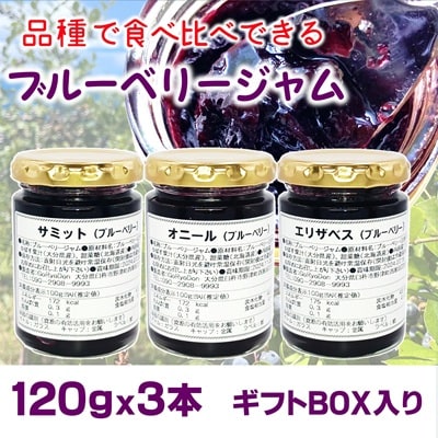 ブルーベリージャム3点セット(ギフトボックス付)120g×3本　栽培期間中農薬不使用