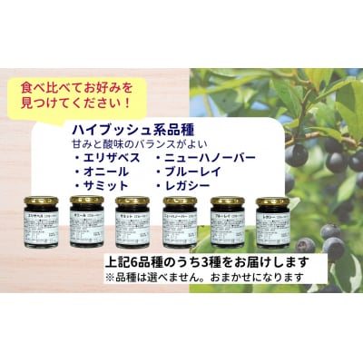 ブルーベリージャム3点セット(ギフトボックス付)120g×3本　栽培期間中農薬不使用