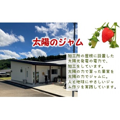 臼杵産ベリーツのジャム(120g)3本セット　ギフトボックス付き　いちご　苺