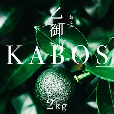 かぼす発祥の地 臼杵市乙見・ブランドかぼす【乙御KABOS】2kg