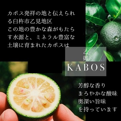 かぼす発祥の地 臼杵市乙見・ブランドかぼす【乙御KABOS】2kg