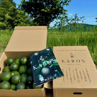 かぼす発祥の地 臼杵市乙見・ブランドかぼす【乙御KABOS】2kg
