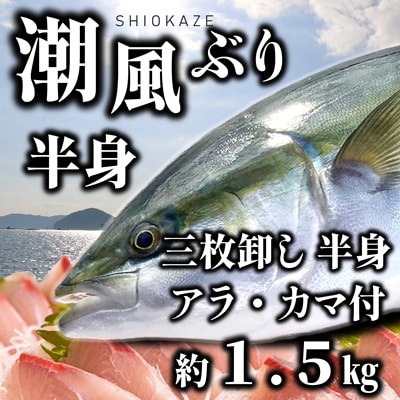 うすき産潮風ぶり・半身(約1.5kg弱)[冷蔵] 