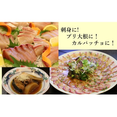 うすき産潮風ぶり・半身(約1.5kg弱)[冷蔵] 
