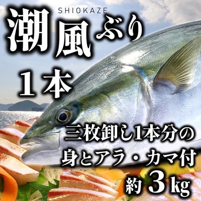 うすき産潮風ぶり・1本・三枚卸(約3kg弱)[冷蔵] 