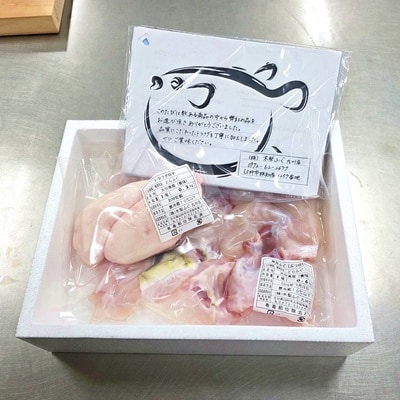 とらふぐ贅沢セット! 朝〆新鮮とらふぐぶつ切り(約600g)&とらふぐ白子(約200g)[冷蔵]木梨