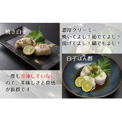 【期間・数量限定】希少・とらふぐ白子(約200g)