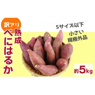 《先行受付》小さい 訳アリ 臼杵市野津町産 べにはるか 5kg さつまいも《12月より発送》