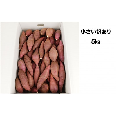 《先行受付》小さい 訳アリ 臼杵市野津町産 べにはるか 5kg さつまいも《12月より発送》