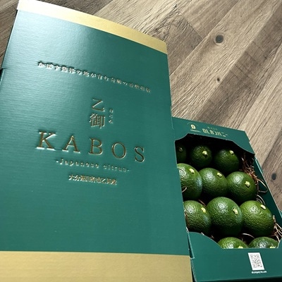 贈答用高級【乙御KABOS】12玉　かぼす発祥の地臼杵市乙見・ブランドかぼす