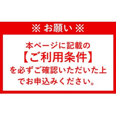 九州大分臼杵ふぐ名店「ふぐ料理フルコース」お食事券(2名様分)