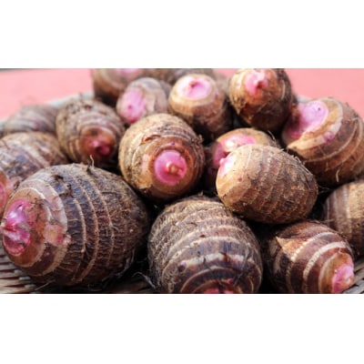 ほっくり美味しい♪化学合成農薬等不使用のサトイモ(赤芽)約3.5kg