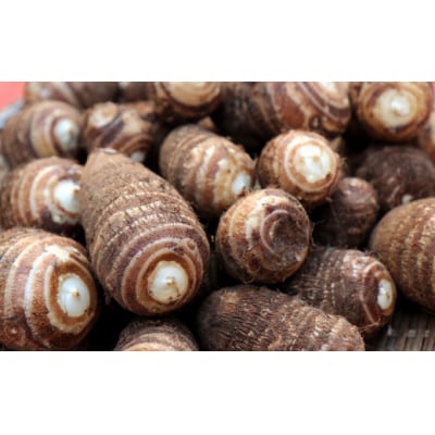 ほっくり美味しい♪化学合成農薬等不使用のサトイモ(白芽)約3.5kg