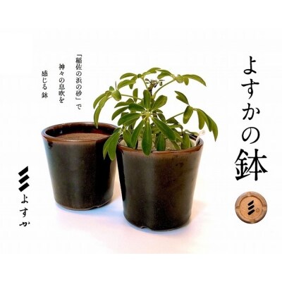 よすかの鉢 お礼品詳細 ふるさと納税なら さとふる