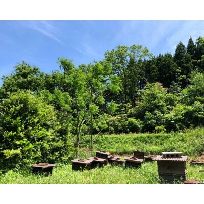 島根はちみつ「くつろぎ3個セット」