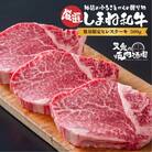 【数量限定】ヒレステーキ(500g)