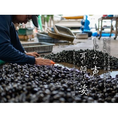 宍道湖産 冷凍大和しじみ 砂抜き済 Lサイズ 3.2kg