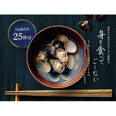 宍道湖産 冷凍大和しじみ 砂抜き済 Mサイズ 4.8kg
