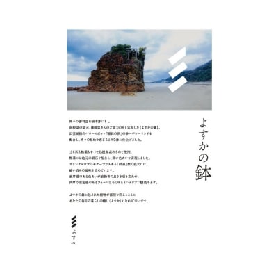 よすかの鉢