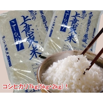 五ツ星お米マイスター厳選 エコ栽培米 恵の上意東(かみいとう)産「コシヒカリ」5kg+2kg
