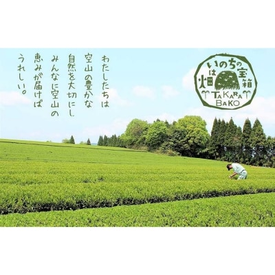 宝箱のまつえ有機ほうじ茶