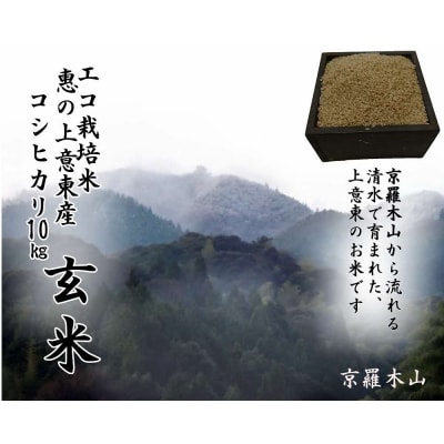 五ツ星お米マイスター厳選【玄米】エコ栽培米 恵の上意東(かみいとう)産「コシヒカリ」10kg