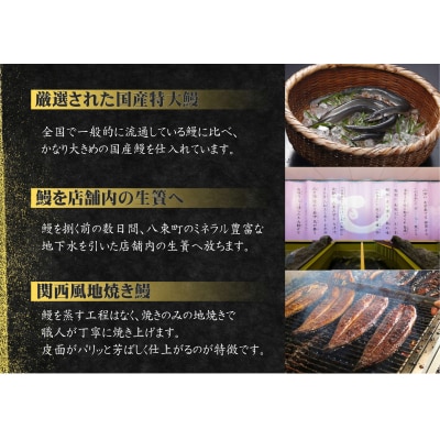 うなぎ蒲焼2尾(蒲焼のタレ付)
