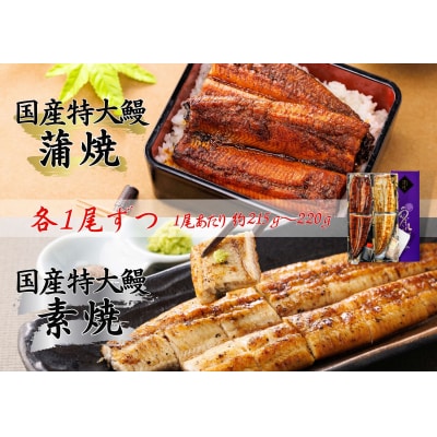 うなぎ蒲焼1尾(蒲焼のタレ付)・素焼1尾(藻塩付)