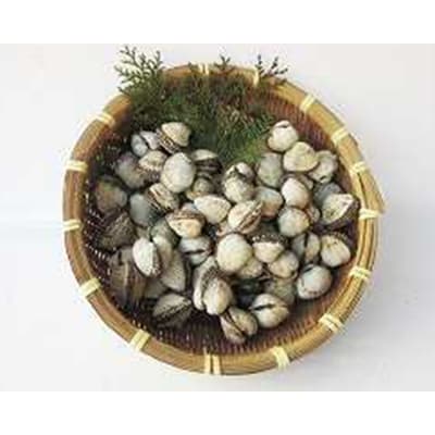 中海産　赤貝(サルボウガイ) 1.5kg