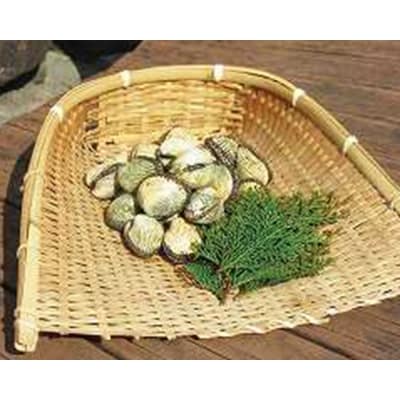 中海産　赤貝(サルボウガイ) 1.5kg