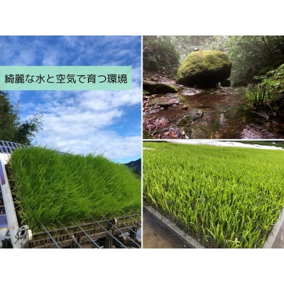 こだわり希少米　つきあかり　5kg【無洗米・残留農薬不検出】