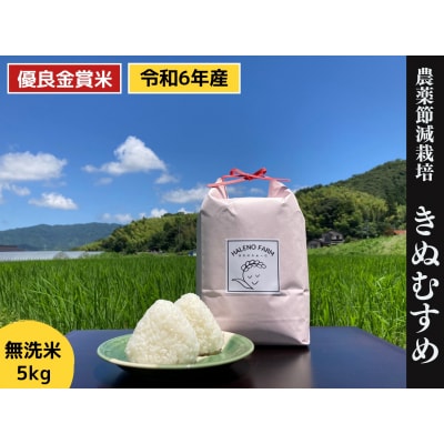 優良金賞受賞米　きぬむすめ　5kg【無洗米・残留農薬不検出】