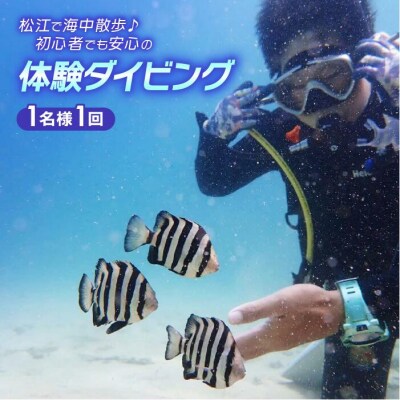 松江で海中散歩　初心者でも安心の体験ダイビングプラン