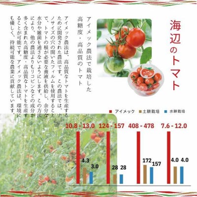 島根県産 海辺のトマトギフトボックスセット 500g【4～6月限定】