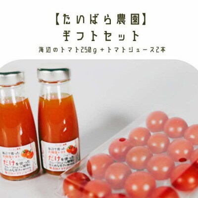 島根県産 海辺のトマトギフトボックス トマト&トマトジュースセット【4～6月限定】